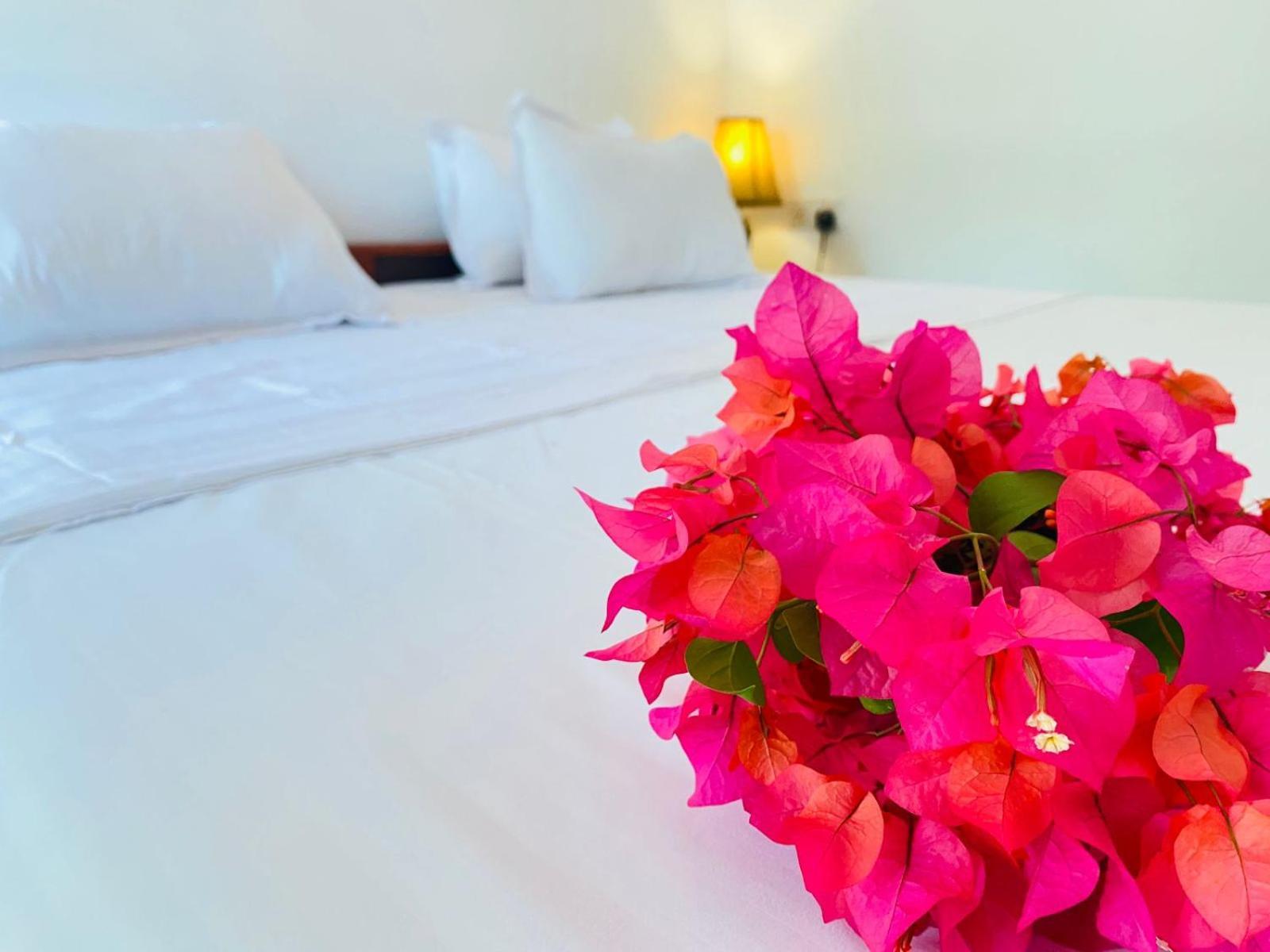 Aaliya Bay Hotel Аругам Бей Екстериор снимка